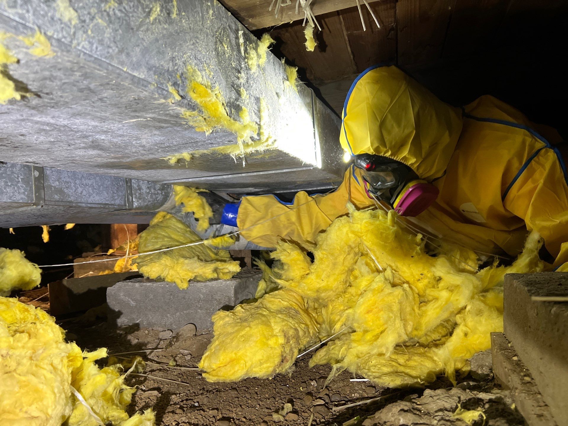 ProCoat technician removing damaged insulation in a crawlspace